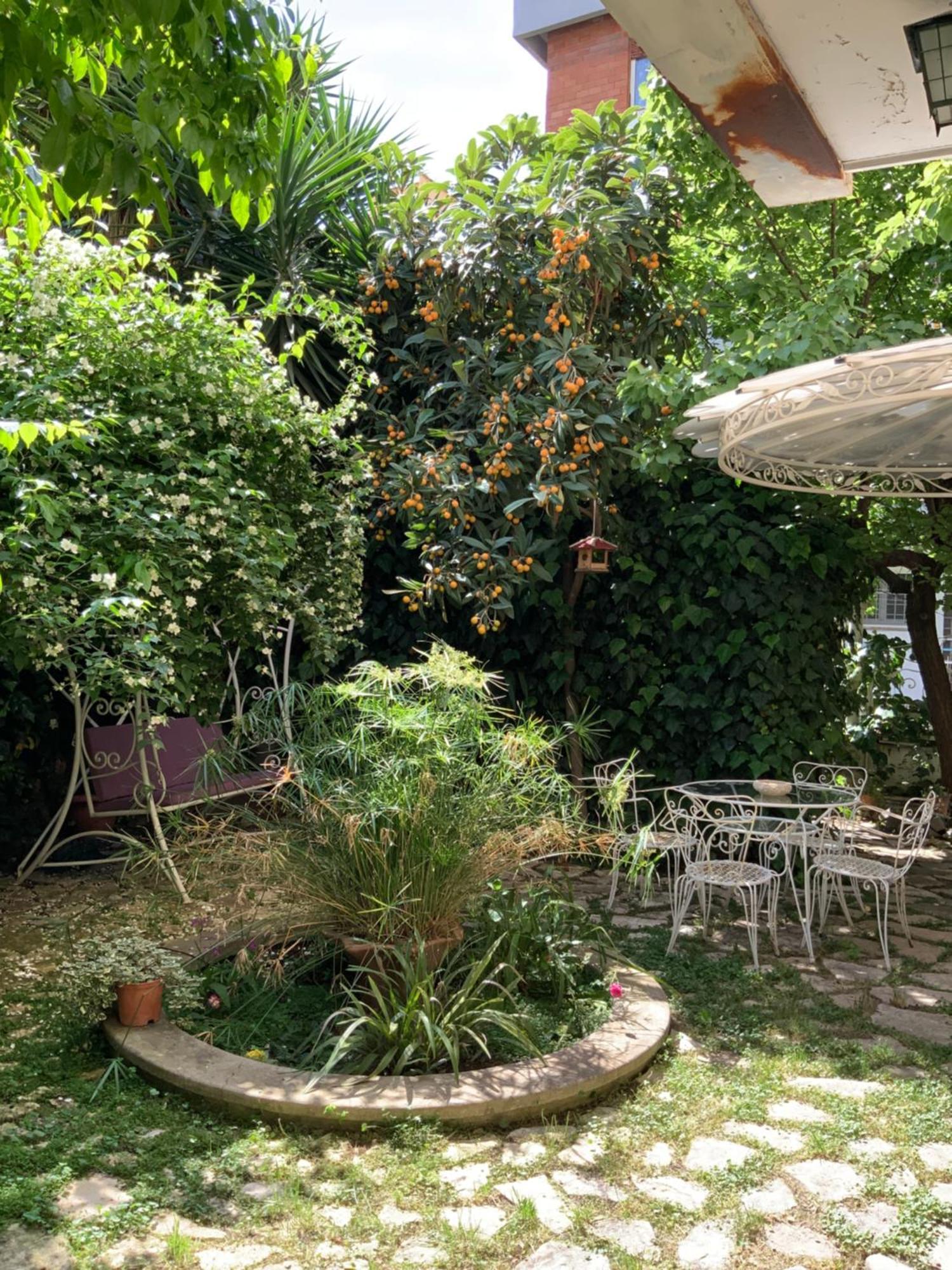 Vatican Fairytale Garden