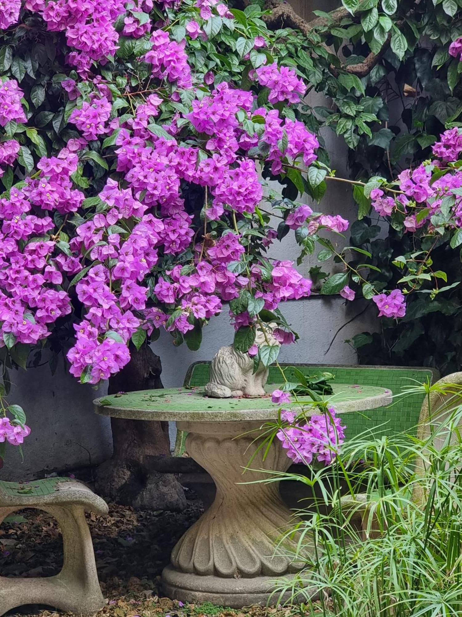 Vatican Fairytale Garden Gasthuis *